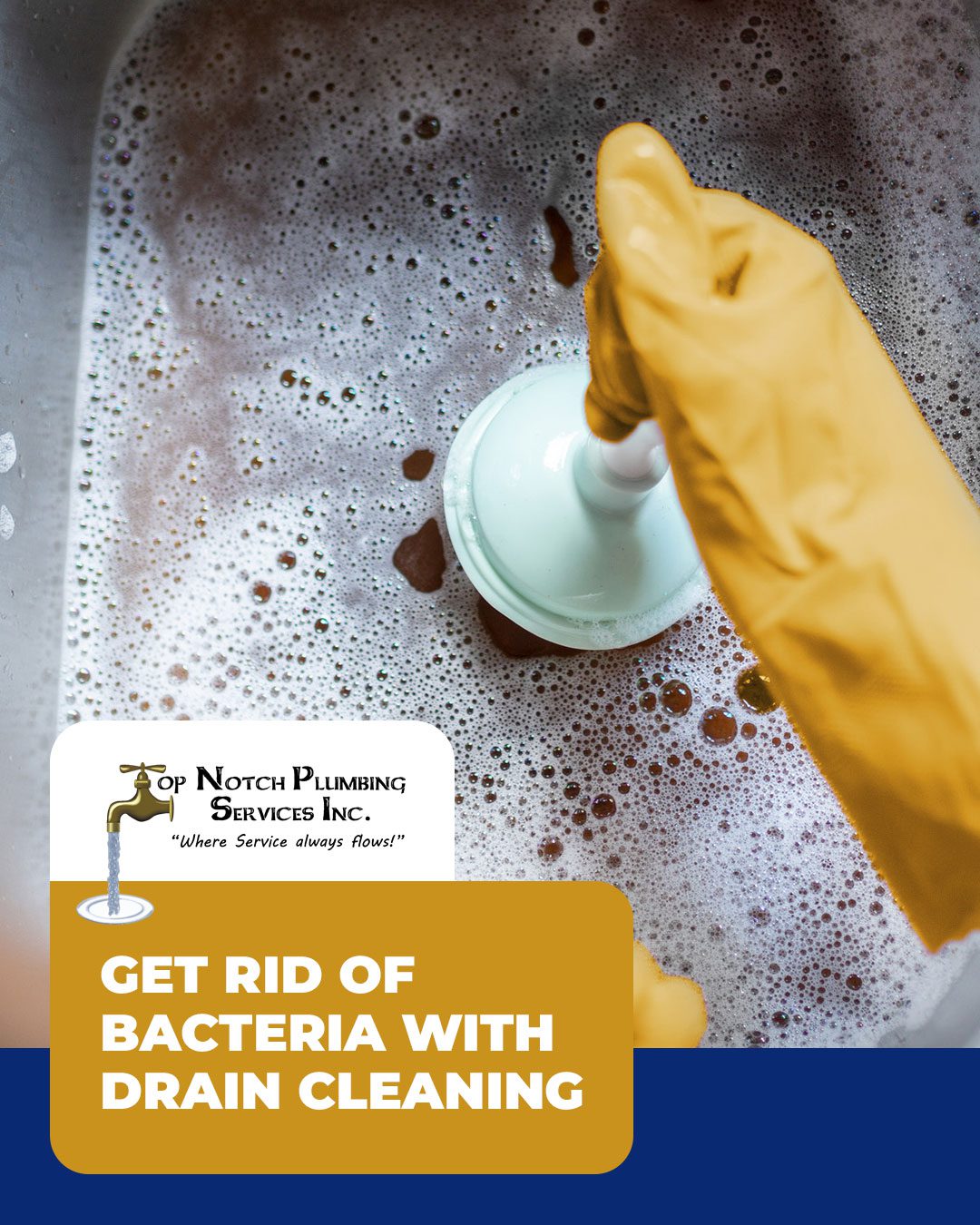 Get Rid of Bacteria with Drain Cleaning