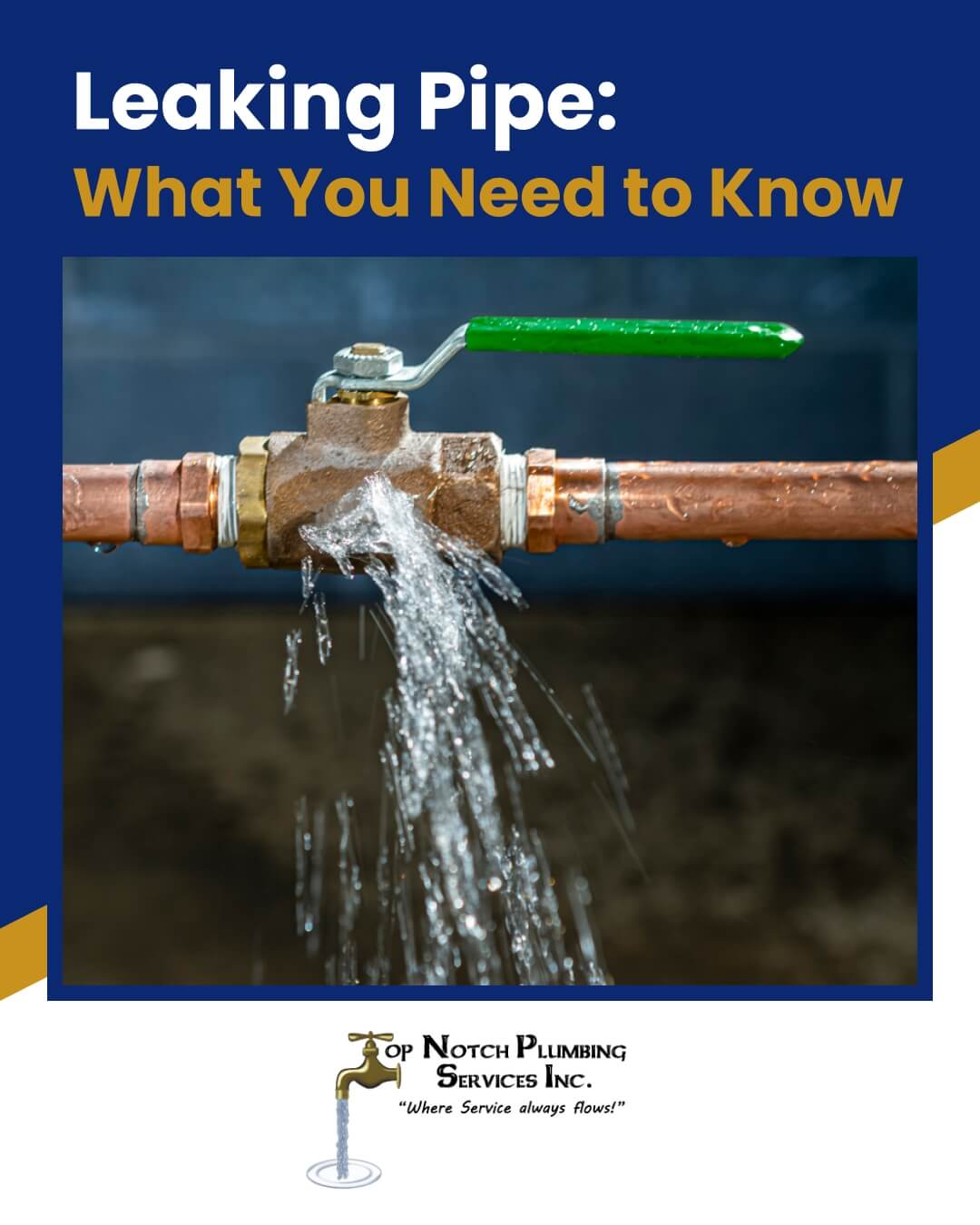 Leaking Pipe: What you need to Know